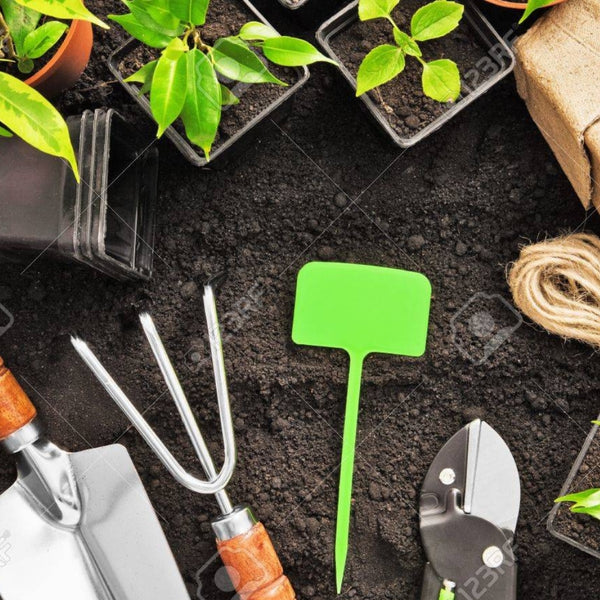 Common Gardening Tools and Their Uses - PowerToolsBee